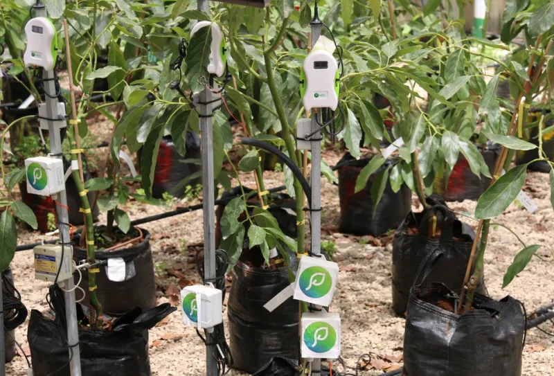 From Field to Future: How Welsh Agritech Is Shaping Britain's Food Security Story