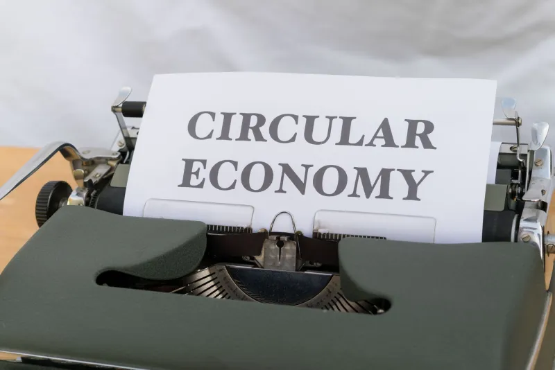 Closing the Loop: How Welsh Manufacturers Are Becoming Britain's Most Valuable Sustainable Supply Chain Partners